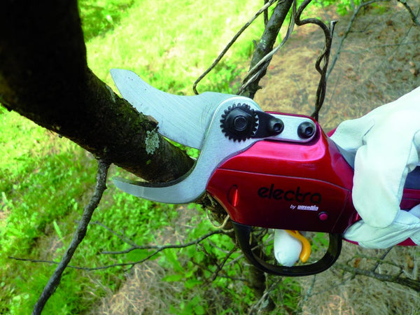 Ausonia 36859 Spodnje rezilo za baterijske škarje Electra 31802