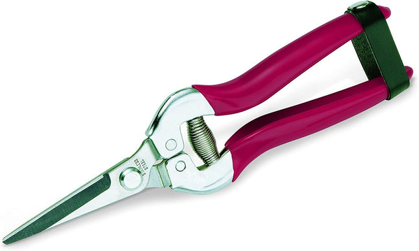 Archman 559 Škarje za grozdje, 19 cm