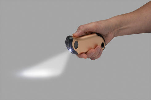 Zippo 2.007.360 HeatBank™ 9s PLUS Grelec za roke in USB polnilec, Zlat