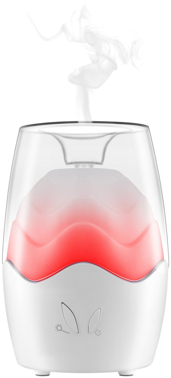 Entac 984049 Vlažilec zraka z aromaterapijo z RGB Mood Light 100ml 5W