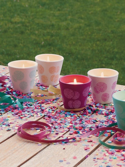 Roura 340229.085 Citronela Verbena v keramični posodi