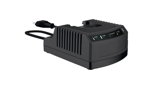 Polnilec Baterije Ausonia Standardni 40V 0,65A, 31741