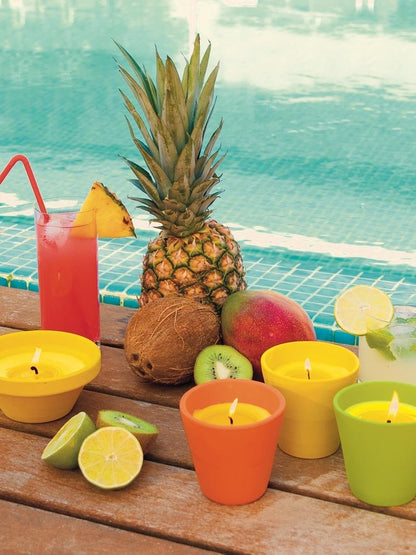 Roura 340268.085 Citronela v keramiki Caribe 3 barve